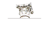 Marrion Fire and Risk Consulting